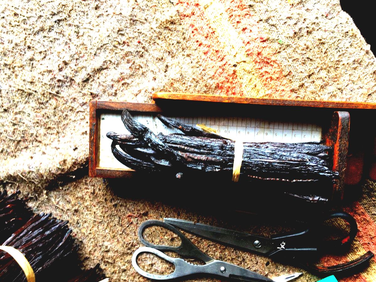 Vanilla beans